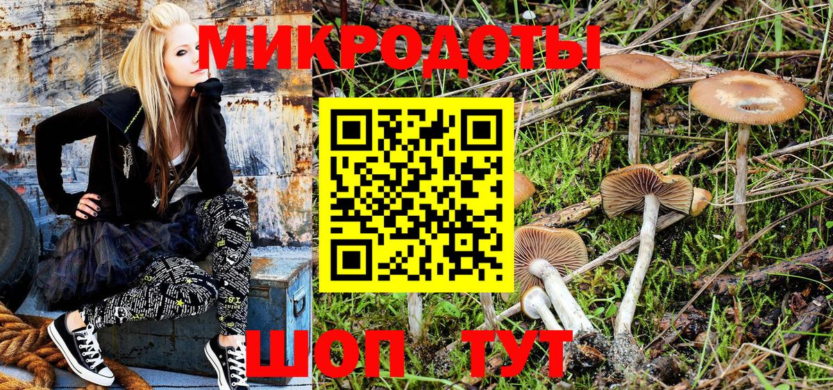 Галлюциногенные грибы Cubensis Железногорск