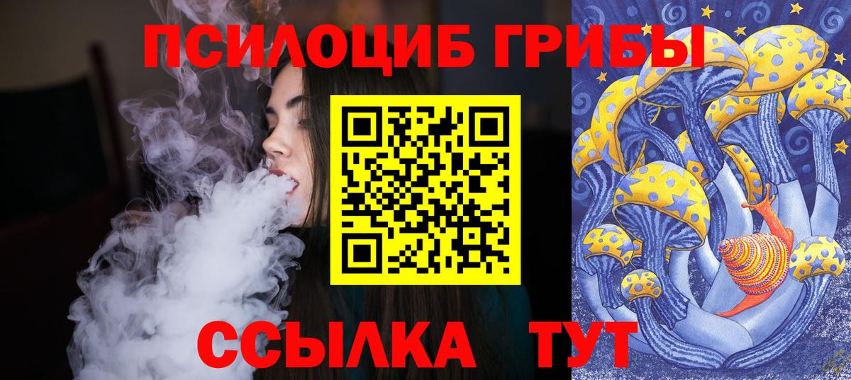 Железногорск  Псилоцибиновые грибы Psilocybine cubensis  Вход с VPN 